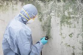  , USA Mold Remediation Pros